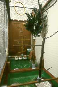 Innenansicht: 2 Sitzbäume Innenansicht: 2 Sitzbäume