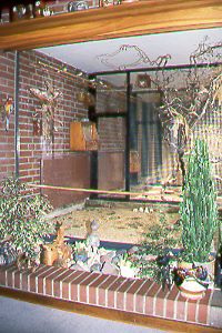 Vogelstube 2 / Room for birds 2